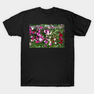 Natural background with pink flowers T-Shirt